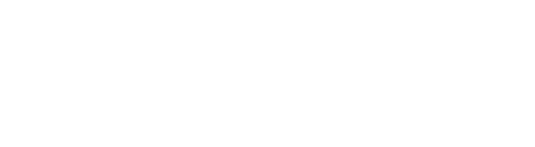 paystone